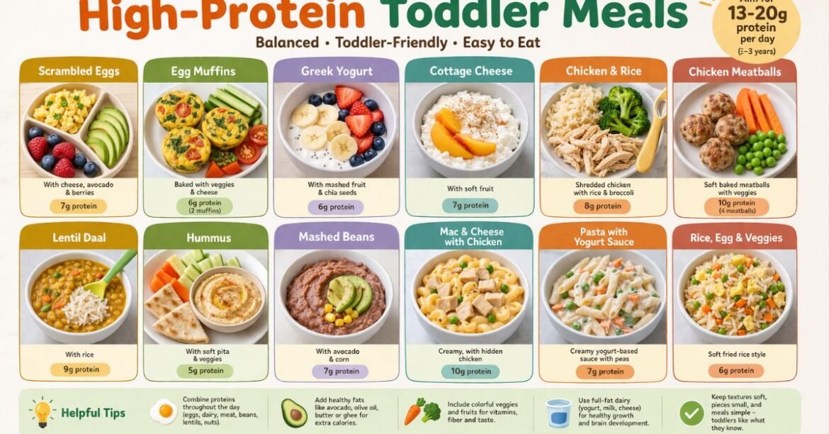 High protein toddler meals
